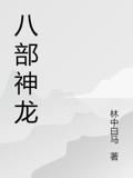 八部神龙