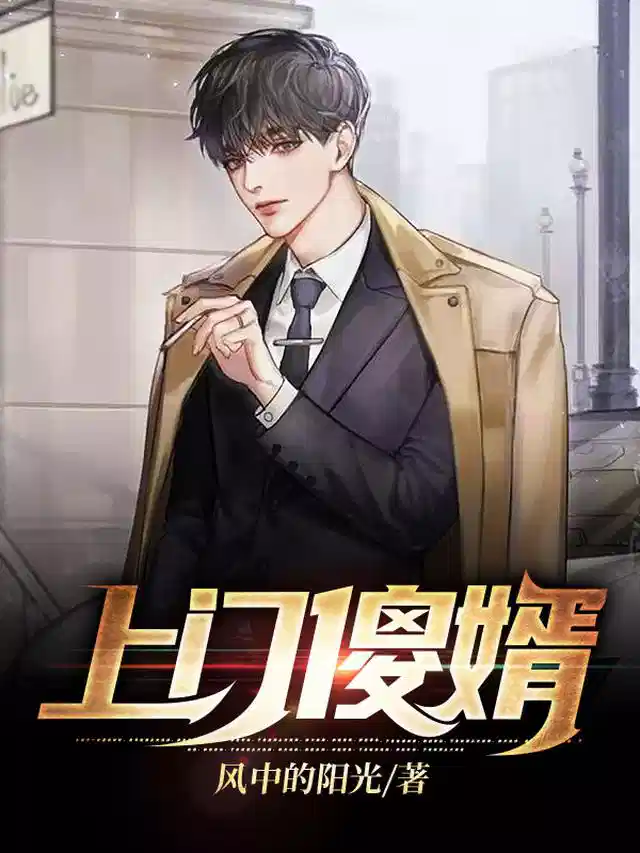 上门傻婿
