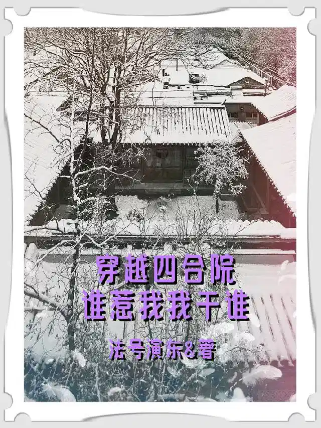 穿越四合院：谁惹我我干谁
