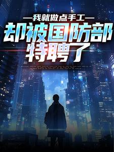 我就做点手工，却被国防部特聘了
